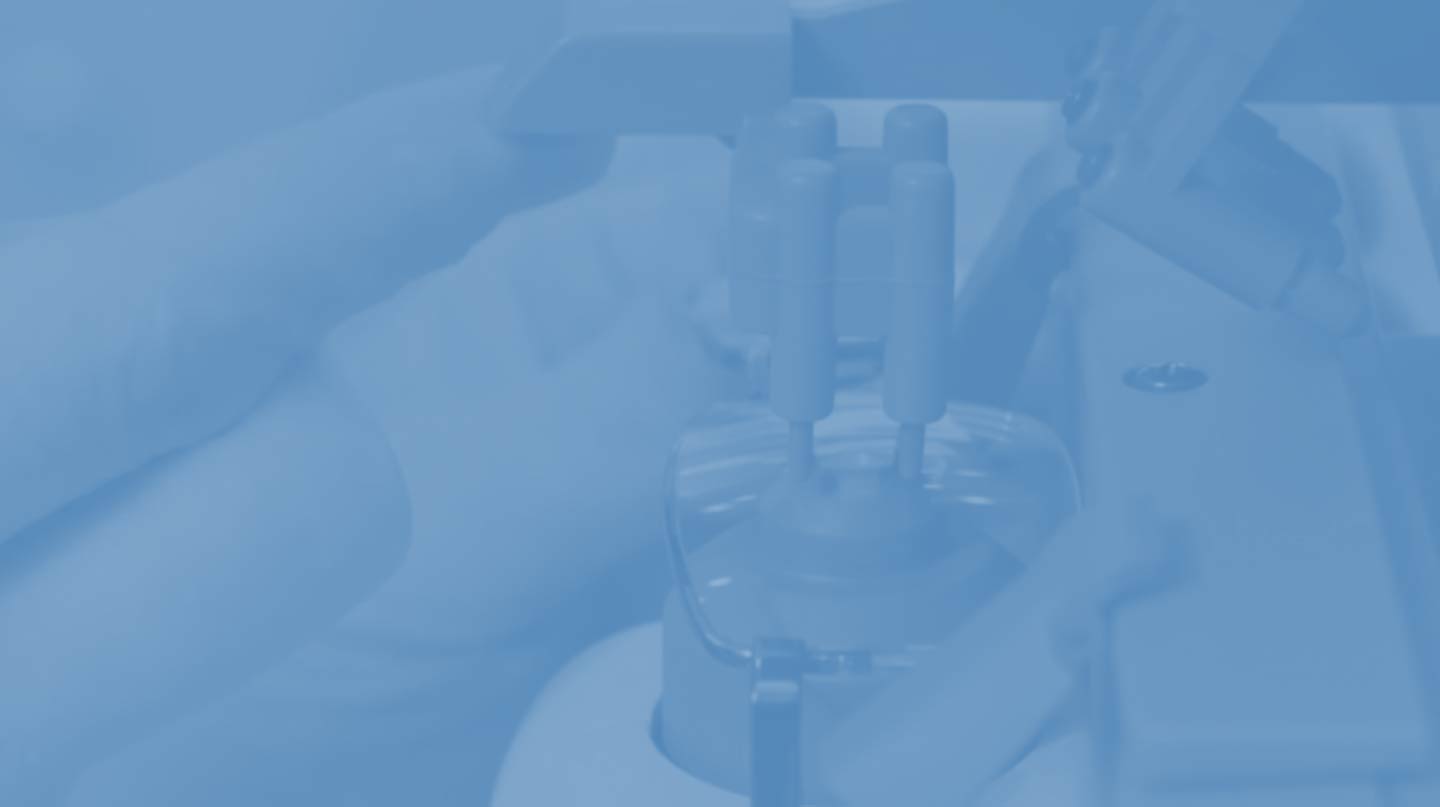 lorem ipsum dolor sit